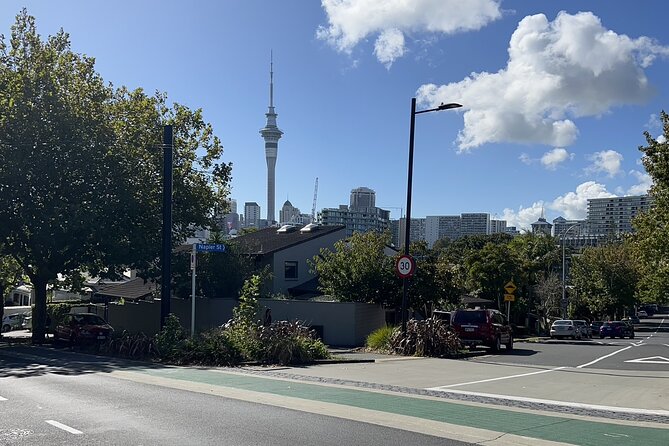 Private Transfer From Auckland City To Auckland Airport - Who should book this airport transfer