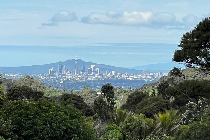Private Transfer From Auckland International Airport To Auckland City - How it compares with arranging a ride after landing