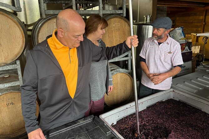 Private Wairarapa Wine Delights Tour from Wellington - Nga Waka Vineyard, a family-owned finish