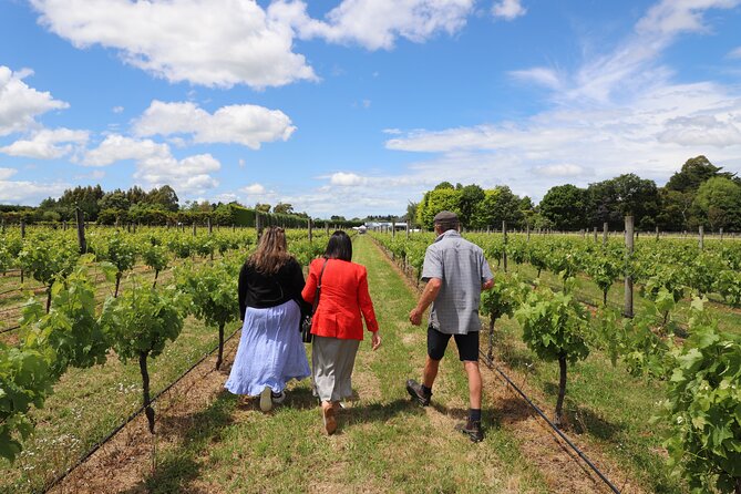 Private Wairarapa Wine Delights Tour from Wellington - Gladstone Vineyard, a broad tasting in a rural setting