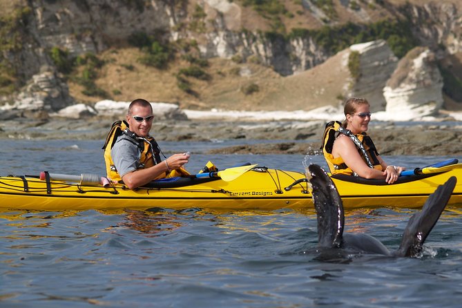 Private Wildlife Kayaking Tour - Kaikoura - Meeting at Kaikoura Kayaks on Killarney Street