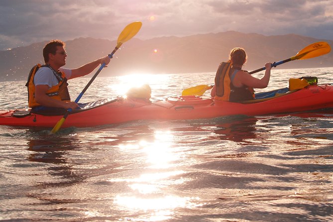 Private Wildlife Kayaking Tour - Kaikoura - From the Kaikoura Peninsula Walkway to the water