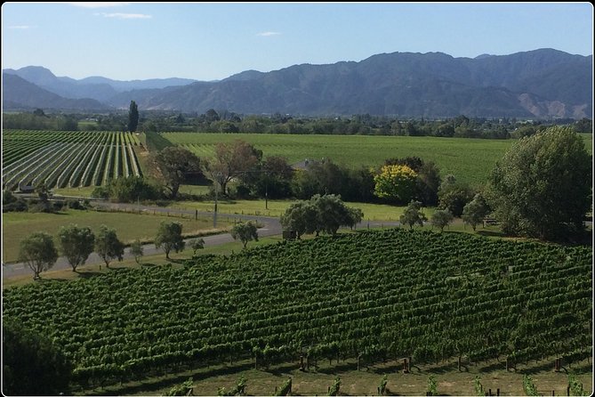 Private Wine Gourmet and Scenic Delights Tour from Picton - Key points to know