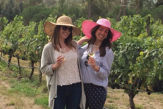 Private Wine Gourmet and Scenic Delights Tour from Picton - Lunch beside the water or among the vineyards