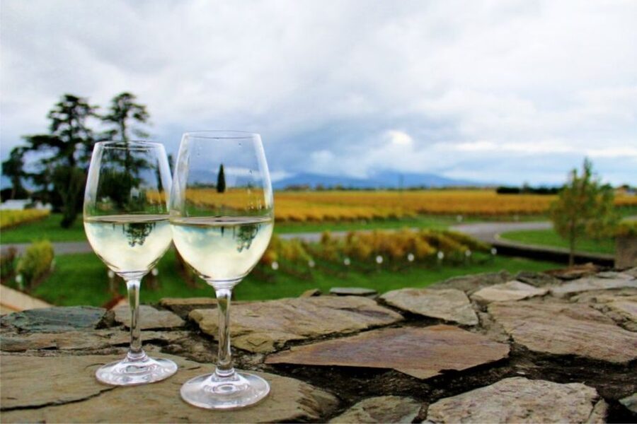 Progressive Wine & Gourmet Trail from Blenheim or Picton - Pamela brings the local knowledge