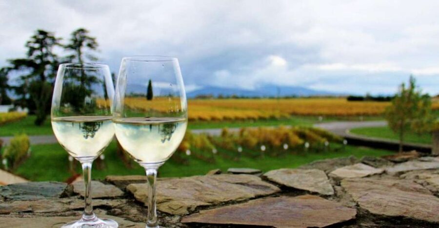 Progressive Wine & Gourmet Trail from Blenheim or Picton - Food pairings spread across the morning and afternoon