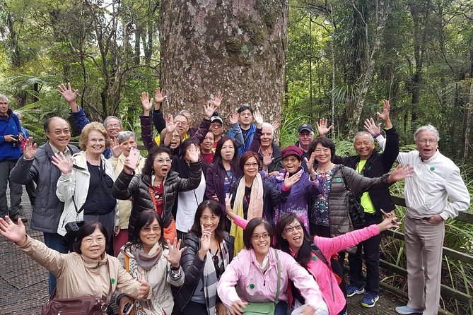 Puketi Rainforest Guided Walks .This is not a Shore Excursion product . - A moderate hike with steep sections