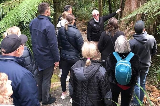 Punakaiki Blow Holes & Pancake Rocks Scenic Tour - Who will get the most from this Punakaiki tour