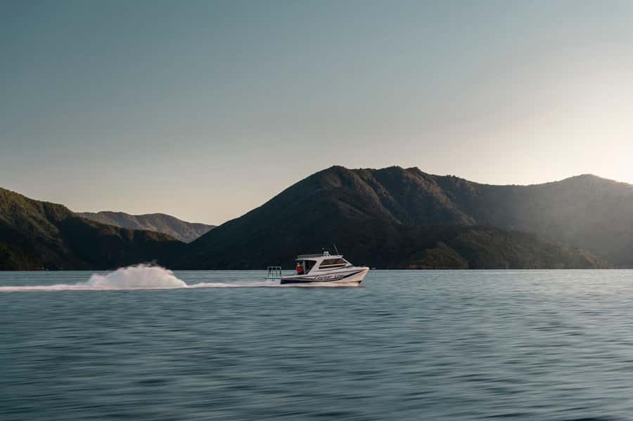 Queen Charlotte Sound Cruise with Lunch - A Short Walk Before the Afternoon Boat
