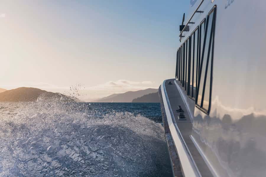 Queen Charlotte Sound Cruise with Lunch - Is the $96 Price Good Value?