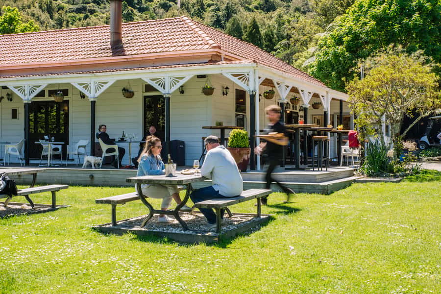 Queen Charlotte Sound Cruise with Lunch - Who Will Enjoy This Day Most?