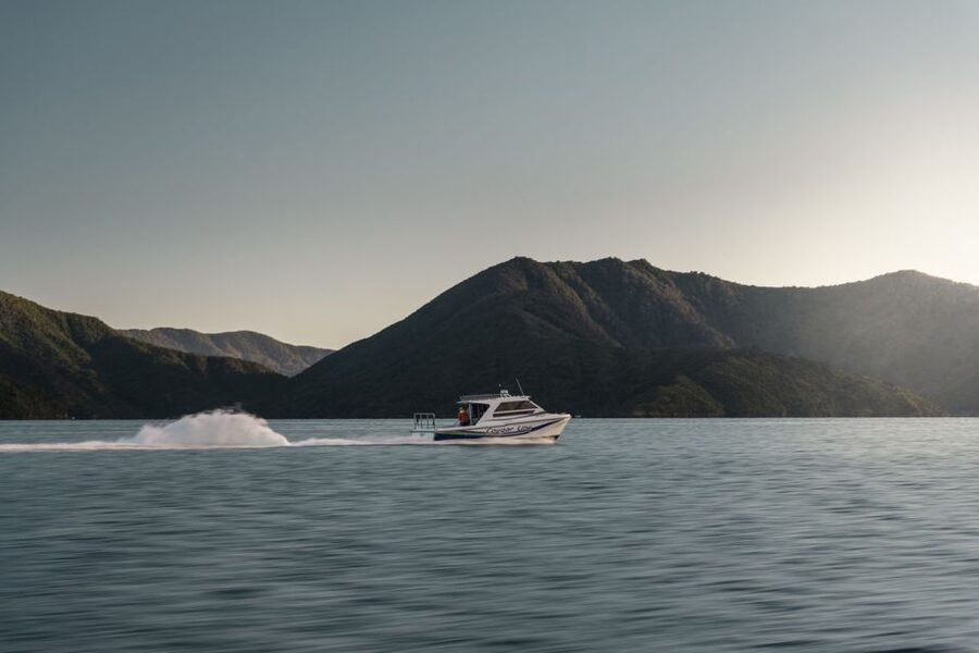 Queen Charlotte Sound Cruise with Lunch - Should You Book the Queen Charlotte Sound Cruise With Lunch?