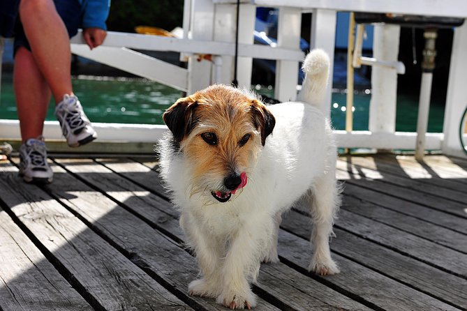 Queen Charlotte Sound Mail Boat Cruise - Is $75.71 good value?