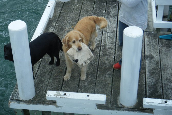 Queen Charlotte Sound Mail Boat Cruise - Who will enjoy this cruise most?