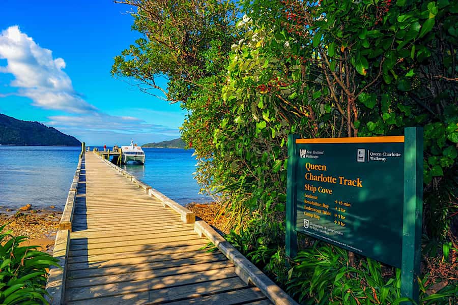 Queen Charlotte Track: Cruise & Self-Guided Hike from Picton - How the $66 price compares with the experience