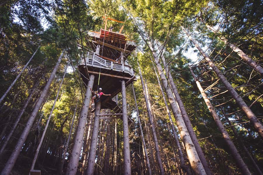 Queenstown: 1-Hour Zipline Tour with 2-Lines & 21-Meter Drop - My call: book it for the drop, not just the ziplines