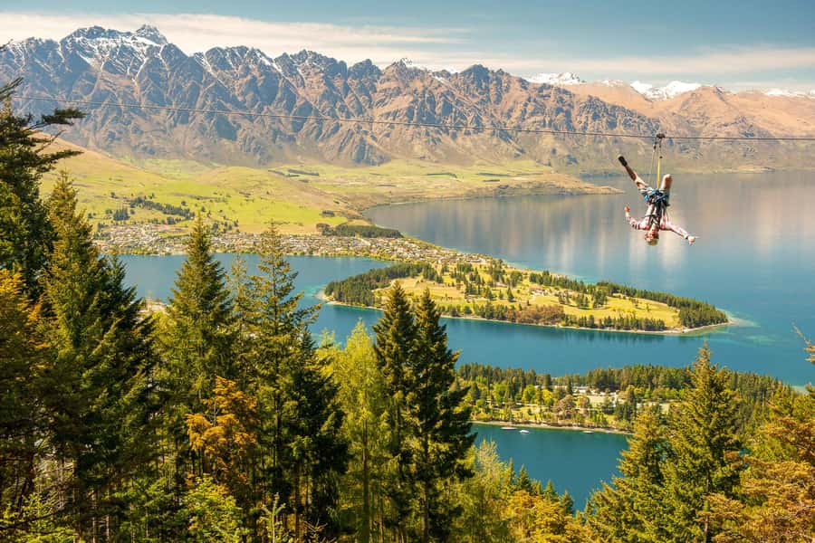 Queenstown: 3-Hour Zipline Adventure with 6-Lines - Key points to know before you book