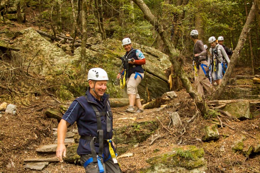 Queenstown: 3-Hour Zipline Adventure with 6-Lines - Local stories between the platforms