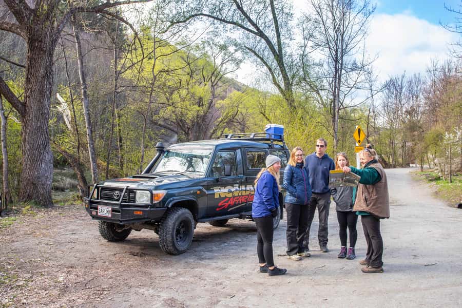 Queenstown: 4WD Lord Of the Rings Tour Half-Day Tour - Who will enjoy this tour most?