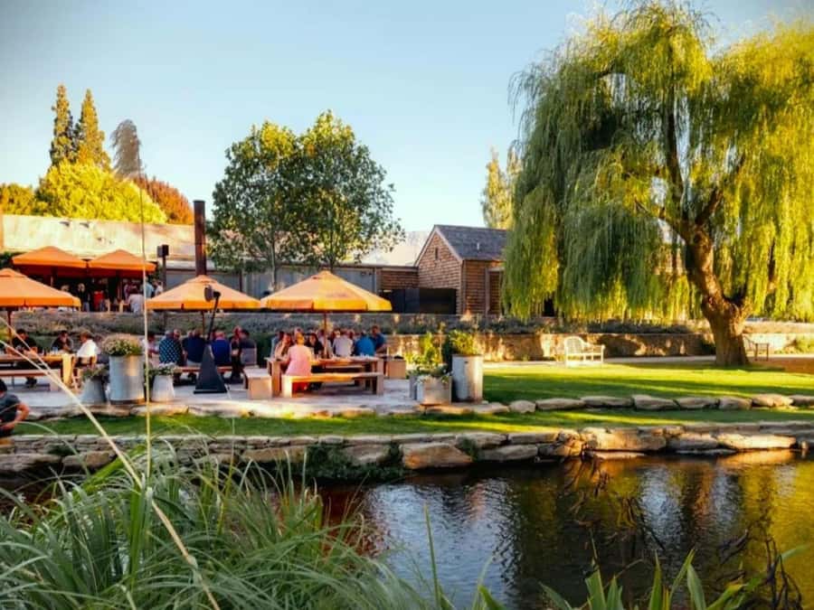 Queenstown, Arrowtown, Gibbston: Flexible Wine Hopper Tours - Small producers and distinctive tasting rooms