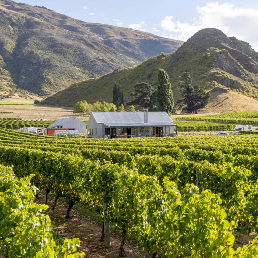 Queenstown, Arrowtown, Gibbston: Flexible Wine Hopper Tours - The scenic ride from Queenstown to wine country
