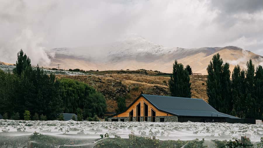 Queenstown: Classic Central Otago Wine Tasting Experience - Key points at a glance
