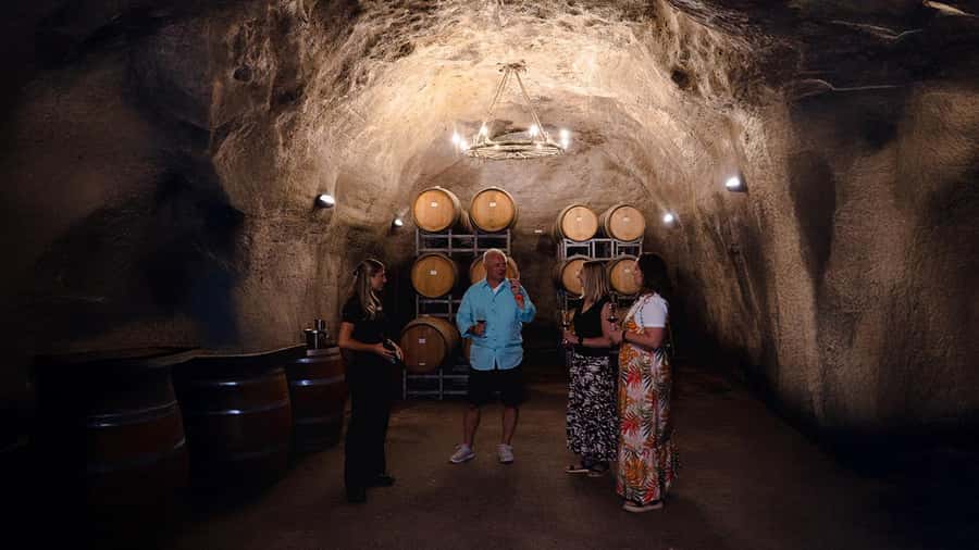Queenstown: Classic Wine Tour - Key points at a glance