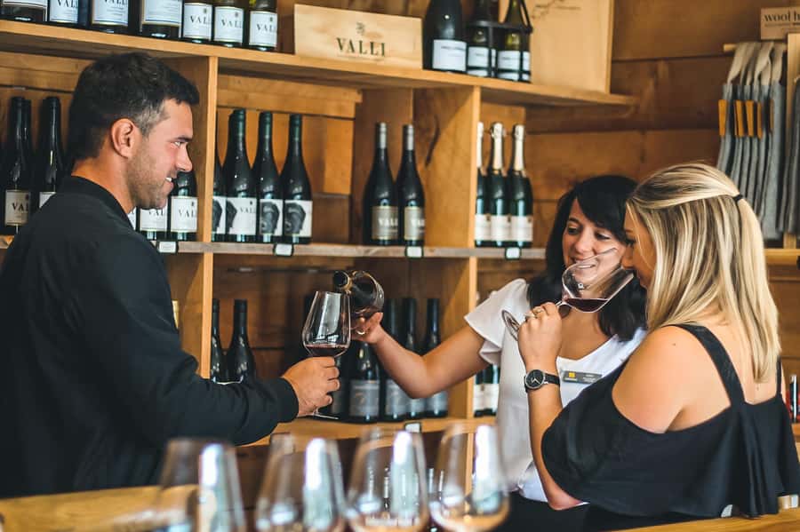 Queenstown: Classic Wine Tour - Gibbston wine country beyond Queenstown