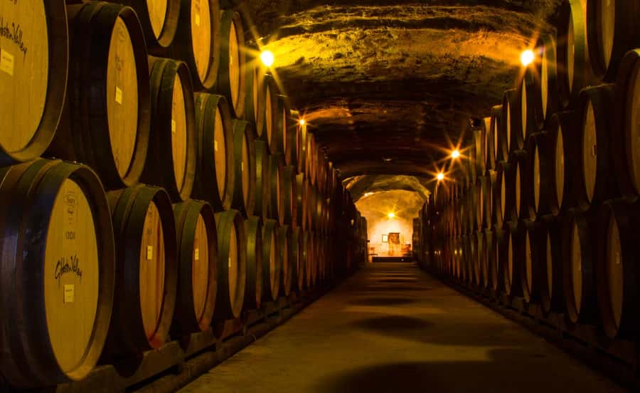 Queenstown: Classic Wine Tour - A cheeseboard that improves the tasting