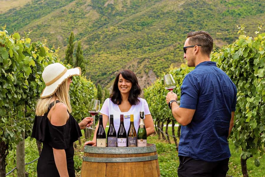 Queenstown: Classic Wine Tour - Three wineries, three chances to compare