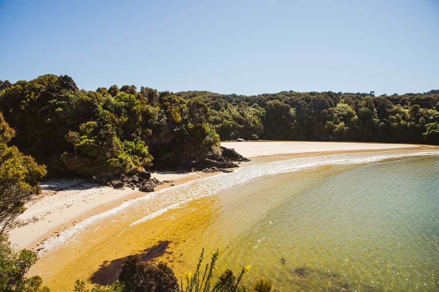 Queenstown: Day Trip to Stewart Island via Scenic Flight - Other ways to use your five hours