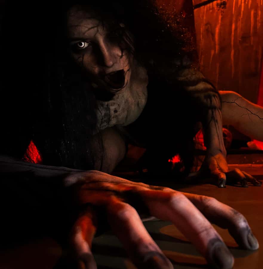 Queenstown: Fear Factory Haunted House Admission Ticket - Is $23 good value for half an hour?