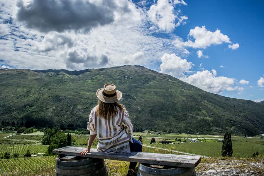 Queenstown & Gibbston Valley: Hop-On Hop-Off Wine Tours - A self-guided wine day without the rental car