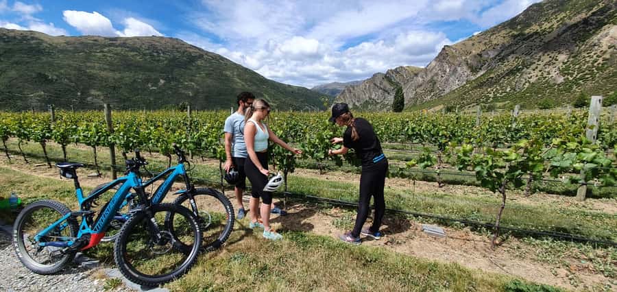 Queenstown: Guided E-Bike Tour with Winery Visits & Tastings - From Queenstown to Arrowtown by van