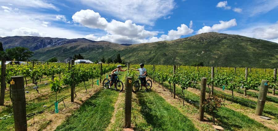 Queenstown: Guided E-Bike Tour with Winery Visits & Tastings - The Kawarau Bridge historic stop