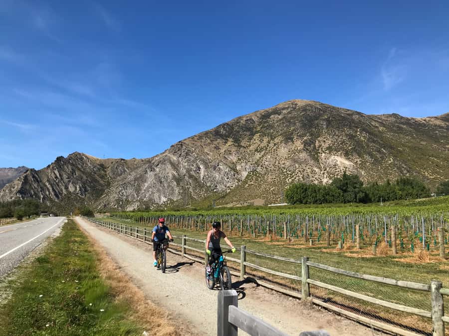 Queenstown: Guided E-Bike Tour with Winery Visits & Tastings - Two winery visits and an artisan platter