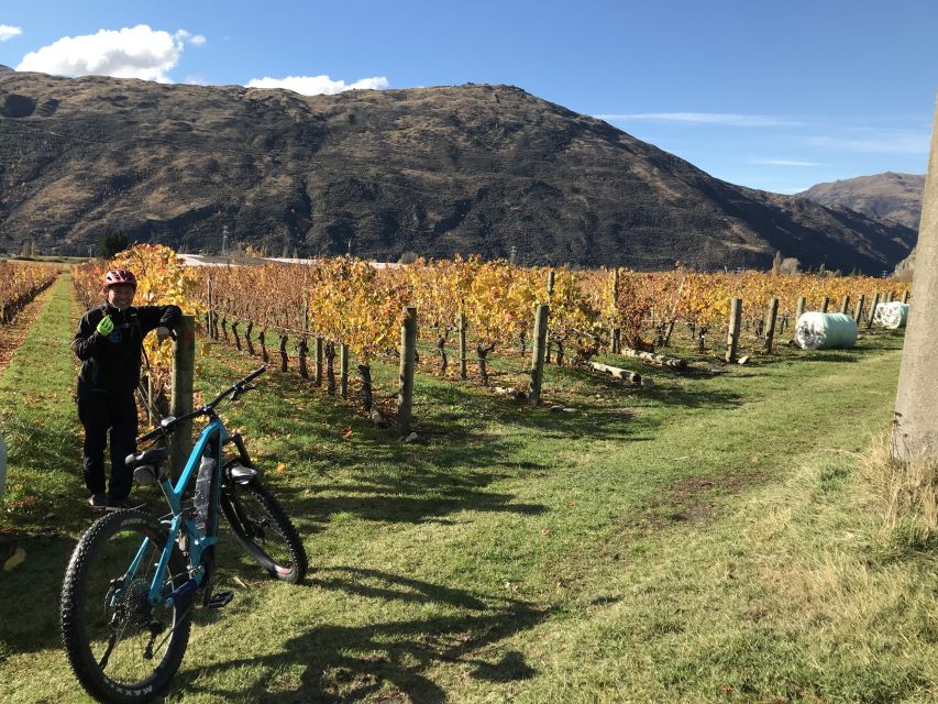Queenstown: Guided E-Bike Tour with Winery Visits & Tastings - How the day handles different riding abilities