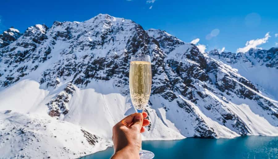 Queenstown: Helicopter & Wine Tasting Tour - Who should book this experience