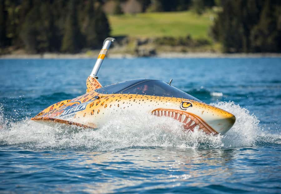 Queenstown: Hydro Attack Shark Ride - Queenstown Bay to the Seabreacher cockpit