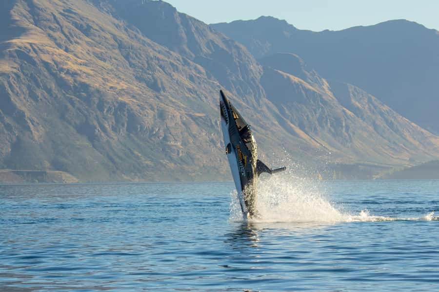 Queenstown: Hydro Attack Shark Ride - Underwater at 40 kph
