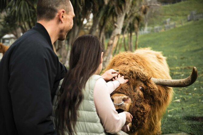 Queenstown Lake Cruise and Walter Peak Farm Adventure - What makes this half-day outing worthwhile