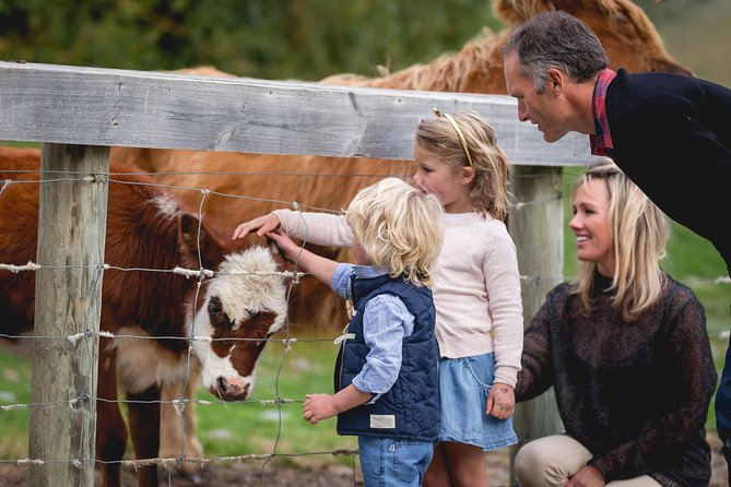Queenstown Lake Cruise and Walter Peak Farm Adventure - A clear look at the timing