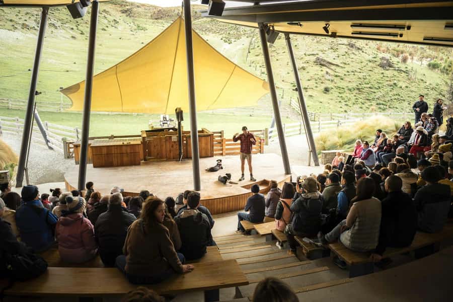 Queenstown: Lake Cruise to Walter Peak Farm with BBQ Buffet - Should you book the Lake Cruise to Walter Peak?