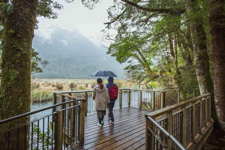 Queenstown: Milford Sound Coach & Cruise Full-Day Trip - FAQ