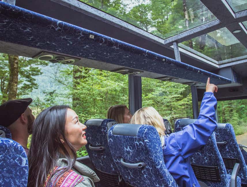 Queenstown: Milford Sound Coach & Cruise Full-Day Trip - The Milford Sound cruise and Stirling Falls