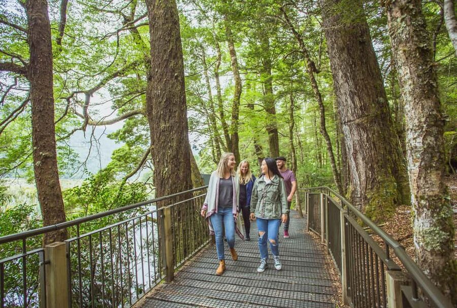 Queenstown: Milford Sound Coach & Cruise Full-Day Trip - Entering Fiordland National Park