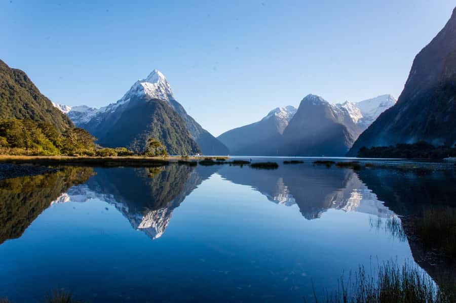 Queenstown: Milford Sound Cruise & Helicopter Alpine Tour - The Milford Sound cruise at water level