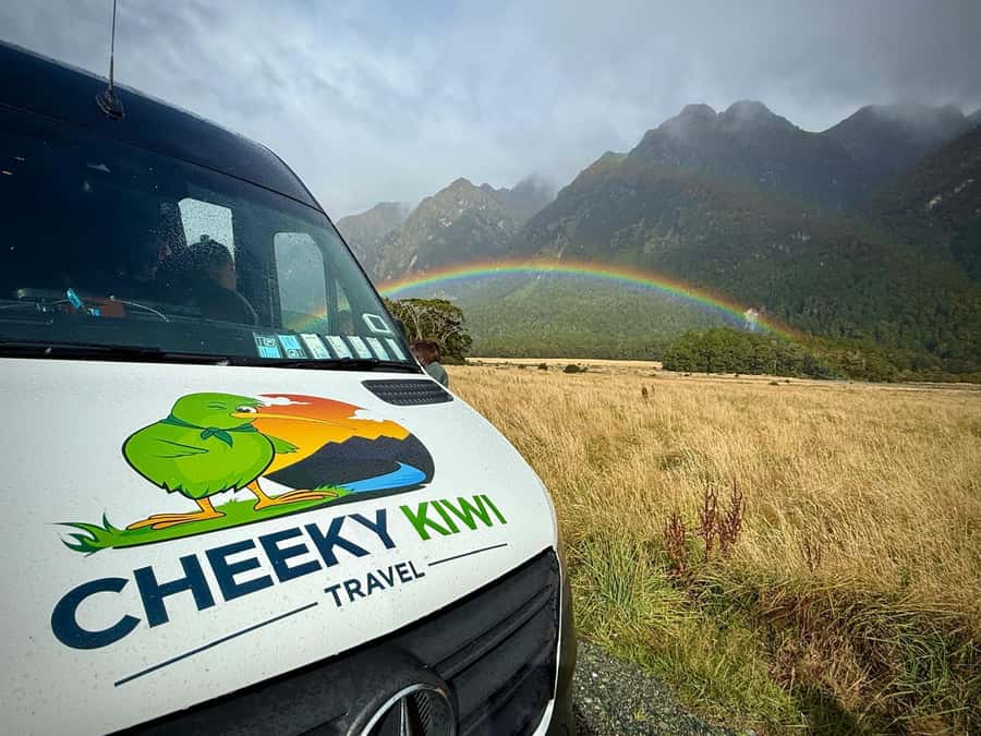 Queenstown: Milford Sound Small-Group Tour w Cruise & Lunch - The Milford Sound cruise