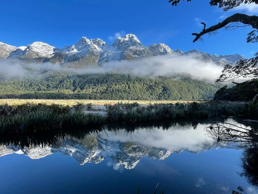 Queenstown: Milford Sound Small-Group Tour w Cruise & Lunch - Lunch, comfort, and the long return