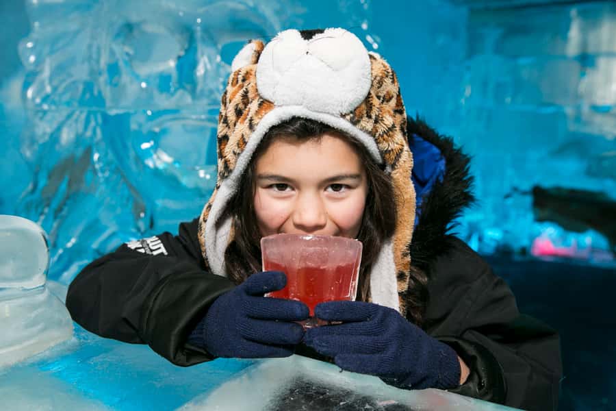 Queenstown: Minus 5 Ice Bar Experience with Drink Options - The ice room: furniture, sculptures, and frozen details